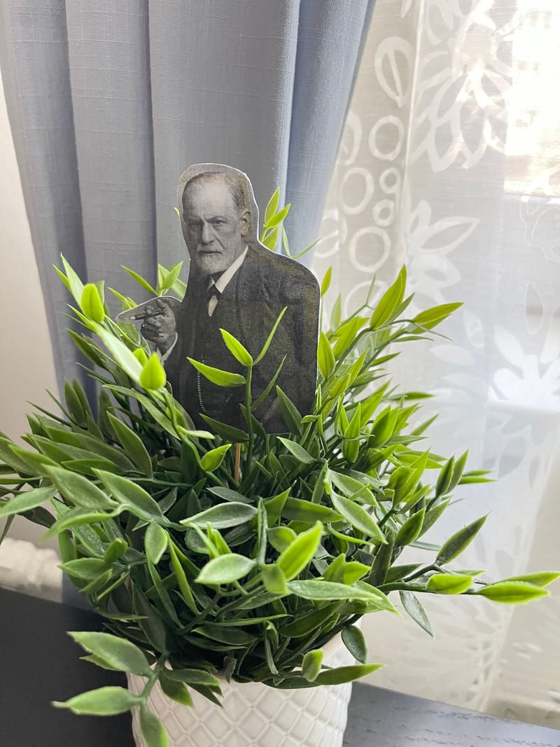 Живые растения в кабинете психолога